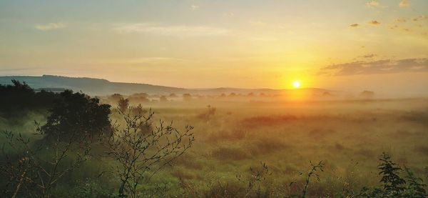 Scenic view of landscape against sky during sunset