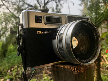 Close-up of camera on tree