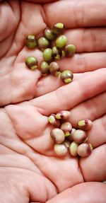 Close-up of hand holding eggs
