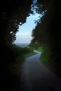 Empty road by trees against sky