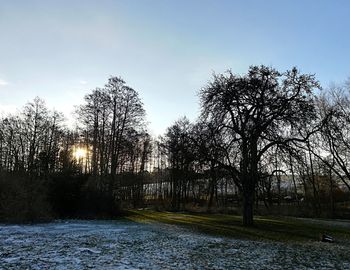 Bare trees by river against sky during winter