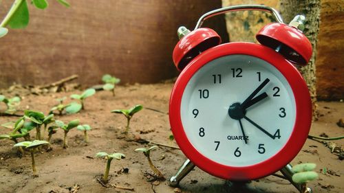 Close-up of alarm clock on ground