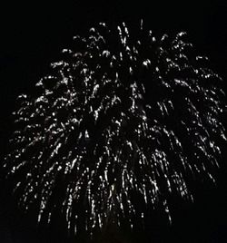 Close-up of fireworks against black background