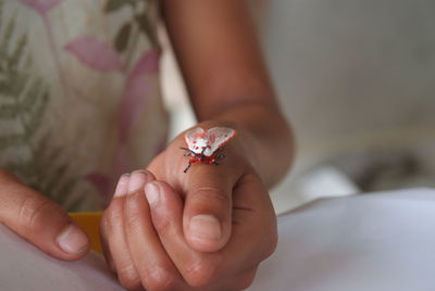 Close-up of woman holding ice cream