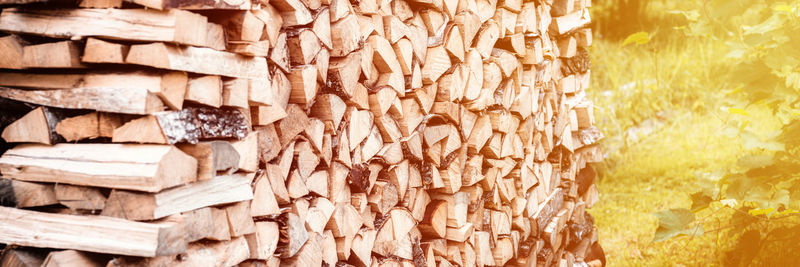 Full frame shot of wood logs in forest