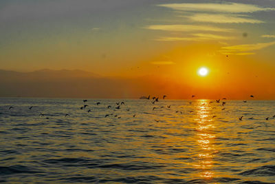 Scenic view of sea against orange sky