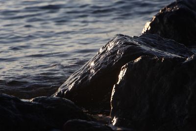 Close-up of wave in sea