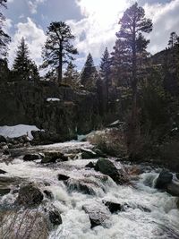 Scenic view of waterfall in forest against sky
