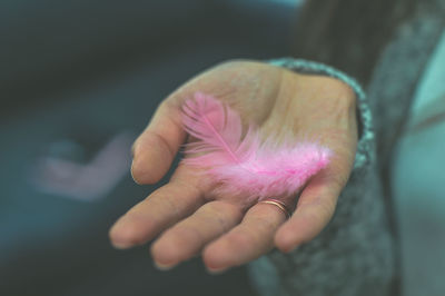 Cropped hand holding of woman holding pink feather