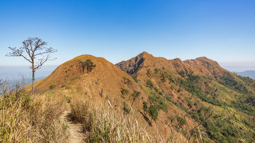 Scenic view of mountains against clear blue sky