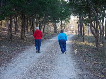 Rear view of people walking in forest