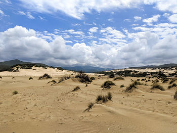 The wonderful oasis of piscinas, with imposing and sinuous dunes of fine, warm golden sand