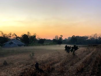 Scenic view of field against sky during sunset