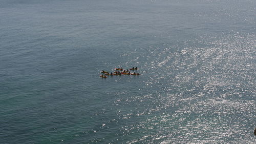 High angle view of people in conoes on sea