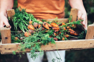 Midsection of man holding vegetables