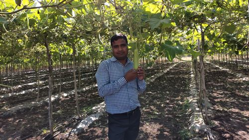 Portrait of man holding calabash while standing by plants in farm