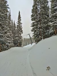 Snow covered landscape against sky