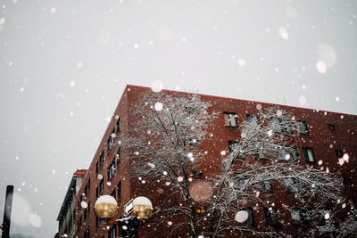 Low angle view of bare tree against building during snowfall