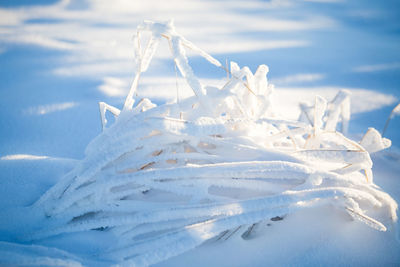 Close-up of snow covered land