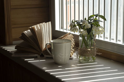 Potted plants on table at home