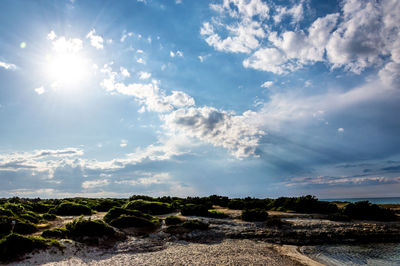 Scenic view of bright sun over land