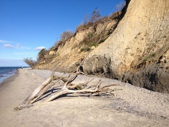 Driftwood on beach against blue sky