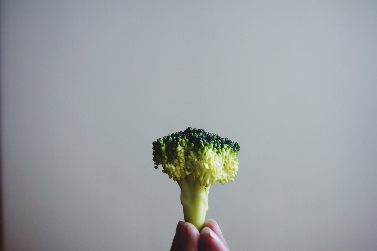 Broccoli