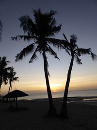 Silhouette palm tree on beach against sky during sunset