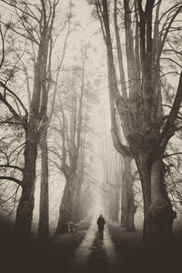 Rear view of woman on pathway amidst trees in forest during foggy weather