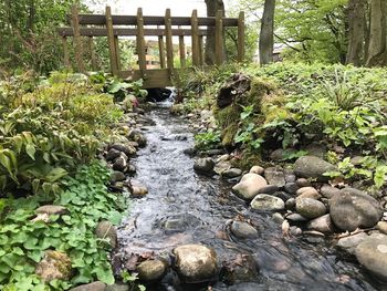 Water flowing through rocks amidst trees