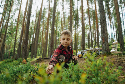 Portrait of boy standing in forest