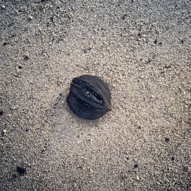 high angle view, sand, beach, still life, asphalt, single object, textured, ground, close-up, street, seashell, directly above, pebble, day, stone - object, outdoors, nature, no people, shoe, footprint