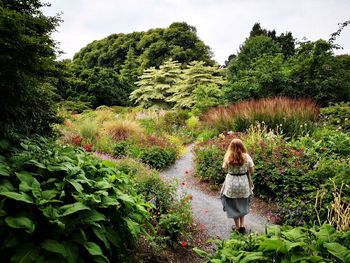 Rear view of woman standing by trees against sky