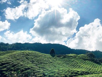 Panoramic view of agricultural field against sky