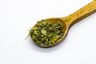 Close-up of green leaves against white background