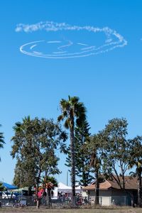 Low angle view of palm trees against blue sky