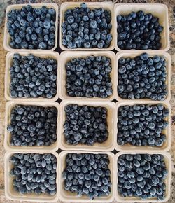 Full frame shot of blueberries