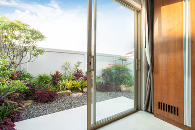 Potted plants seen through window of house