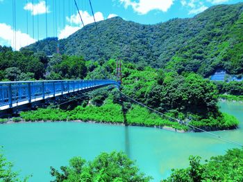 Reflection of trees in water