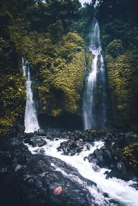 Scenic view of waterfall in forest