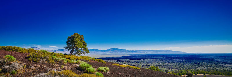 Scenic view of landscape against blue sky