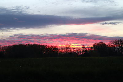 Silhouette trees on field against sky during sunset