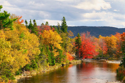 autumn
