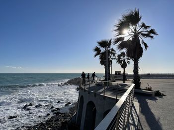 Palm trees on beach against clear sky