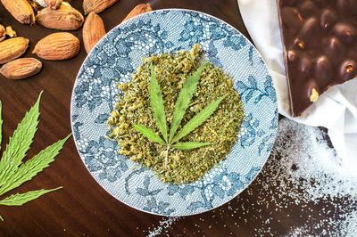 High angle view of plant on table