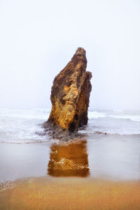 Close-up of rock on beach