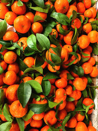 Full frame shot of oranges