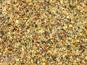 Full frame shot of pebbles on beach