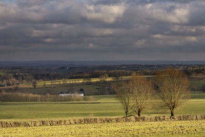 Scenic view of agricultural field against sky