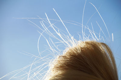 Close-up of blond hair against sky on sunny day